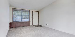 Bridgepoint Gallery 4