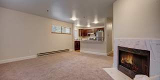 Foster Greens Gallery 9