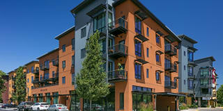 The Byron at Crescent Village Gallery 21