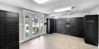 University Oaks Gallery 20