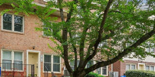 7814 CODDLE HARBOR Lane Gallery 1