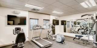 The Harlow Gallery 35