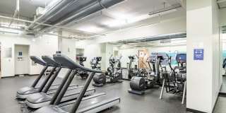 Wentworth House Apartments Gallery 16