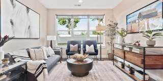 Canter Green Gallery 13