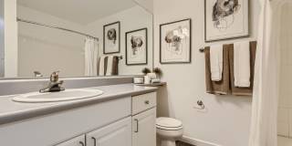 The Avantus Apartments Gallery 27