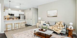 The Fenimore Phase II Gallery 1