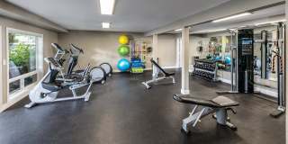 Alder Bellevue Gallery 11