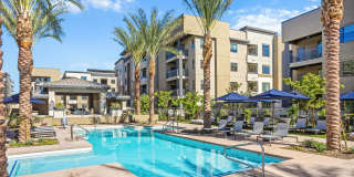 Reflect at Dobson Ranch Gallery 13