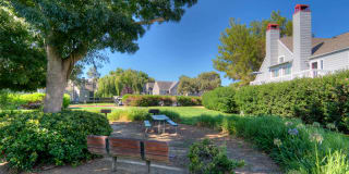 Riva Terra Apartments at Redwood Shores Gallery 54