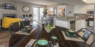 Cottonwood Terrace Gallery 3