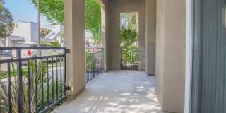 The Village at Town Center Gallery 165