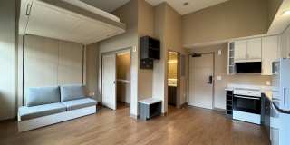 Red Oak at 83 Hanover Street Gallery 50