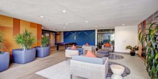 The Alamitos Gallery 19