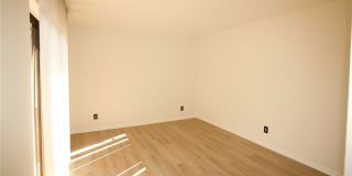 1653 Park Meadows Drive Gallery 12