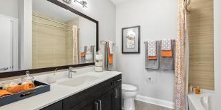 AMLI Deerfield Gallery 9