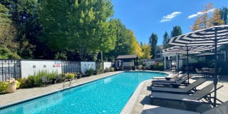 Avignon Townhomes Gallery 20