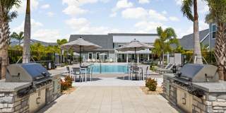 Palm Grove Gallery 27