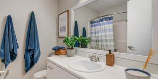 The Invitational Apartments Gallery 6