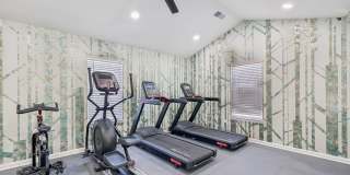 Parklight Gallery 27