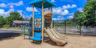 Walden Pond Gallery 11