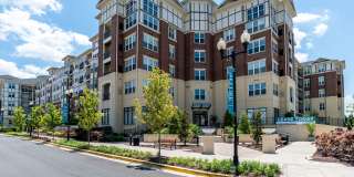 Allure Apollo Gallery 25