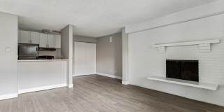 Park at Palmer Gallery 83