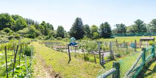 Waterford Village Gallery 40