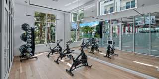 Altis Grand Lake Willis Gallery 29
