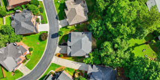 Smyrna Gem! Gallery 54