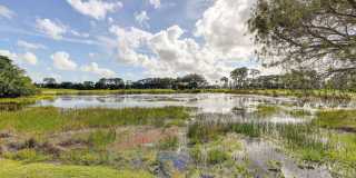334 Brackenwood Circle Gallery 41