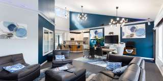 Steeplechase Gallery 32