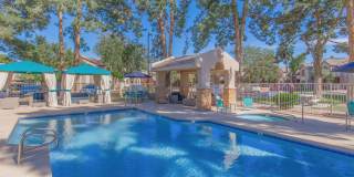 Morrison in Mesa Gallery 14