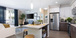 The Standard The Standard Gallery 31