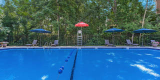 The Oliver in Alexandria Gallery 2