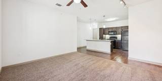 Anatole on MacArthur Gallery 9