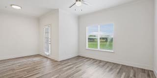 Vineyards Gallery 17