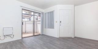 Metro Tucson Gallery 63