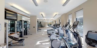 Modera 55 Gallery 26