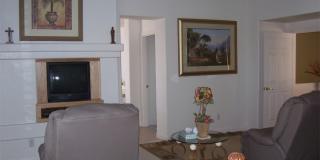 3316 Lacebark Pine Street Gallery 17