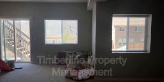 10814 Warm Sunshine Dr. Gallery 29