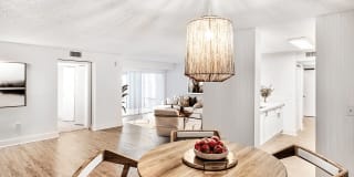 Coconut Palm Club Gallery 38