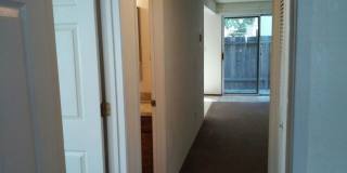 451e15 Gallery 10