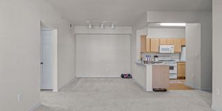 Cypress Creek Homes at Lakeline Boulevard Gallery 23