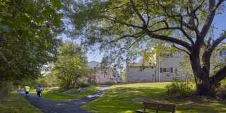 Village Square Gallery 22