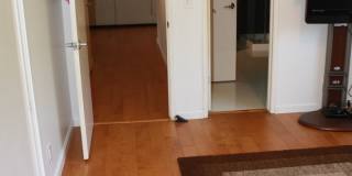 Gorgeous 4 Bedroom, 2 Bath in the Lovely Huntington Beach! Gallery 13