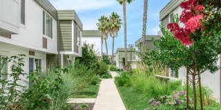 Fairway Village Gallery 23