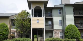 Goldelm at The Views Gallery 1