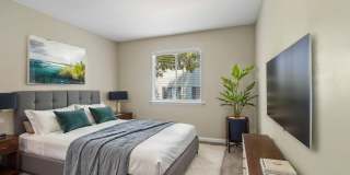Somerset Apartments Gallery 3