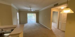 11490 Villa Grand # 209 Gallery 33