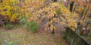 9432 LOCH LEVEN Court Gallery 24